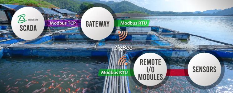 Smart Aquaculture: Water Conservation and Stable Temperature Monitoring